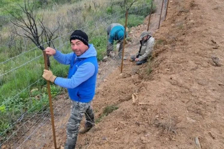 <em class="placeholder">Serge Depeyre du Clos des Fées pose une clôture autour d'une parcelle de vigne</em>