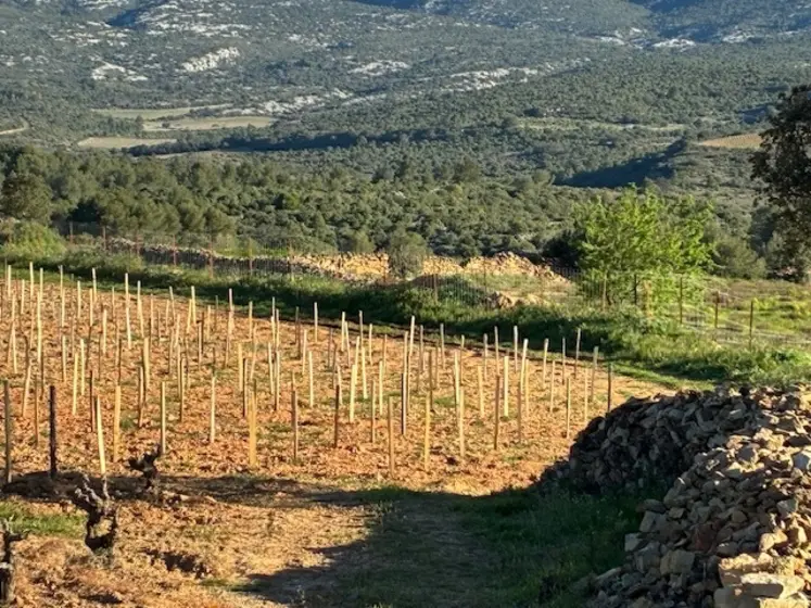 <em class="placeholder">parcelle de vigne clôturée</em>