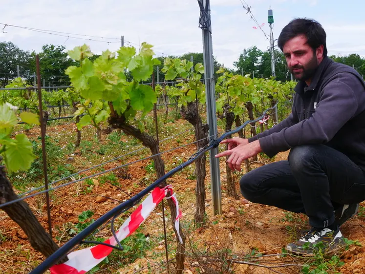 <em class="placeholder">Antoine Lespès, chargé de projets R&D au domaine Lafage</em>