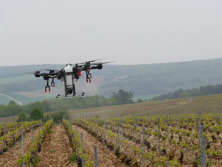 <em class="placeholder">Démonstration de traitement phytosanitaire (à l&#039;eau) des vignes avec un drone, au Champagne Serge Mathieu, à Avirey-Lingey dans l&#039;Aube, le 4 mai 2022. </em>