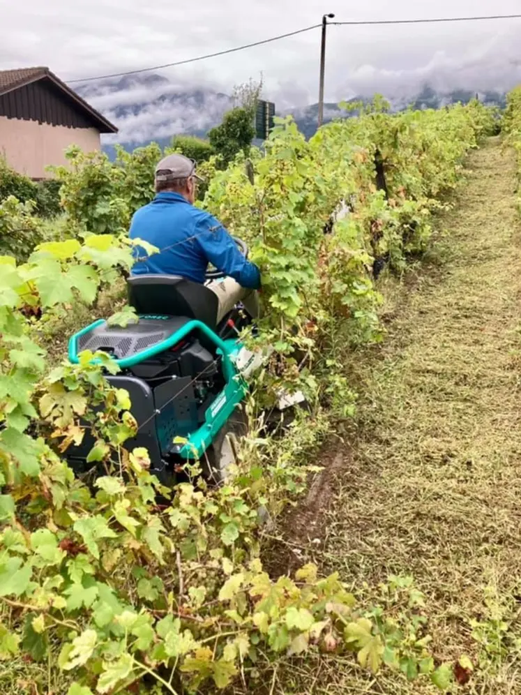 <em class="placeholder">Tondeuse autoportée Orec Rabbit RM60W dans les vignes</em>