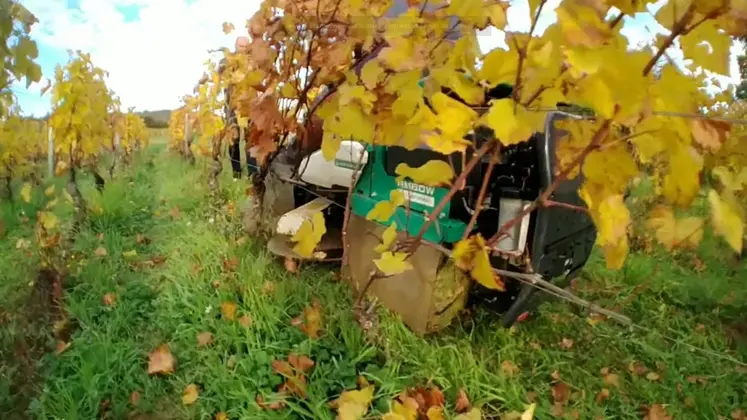 <em class="placeholder">Tondeuse autoportée Orec Rabbit RM60W dans les vignes</em>