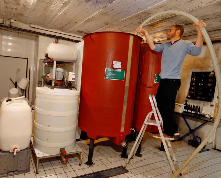 <em class="placeholder">Vigneron ajoutant des levures ensemencees quelques jours plus tot a la recolte de l annee. Ensemencement des levures pour la vignification des vins effervescents de Champagne.</em>