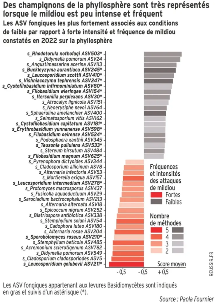 <em class="placeholder">Graphique sur la présence des champignons en fonction de la fréquence et de l&#039;intensité du mildiou</em>