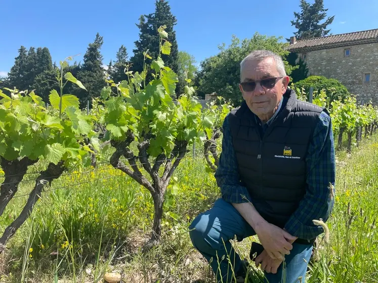 <em class="placeholder">Luc Pélaquié dans son vignoble</em>