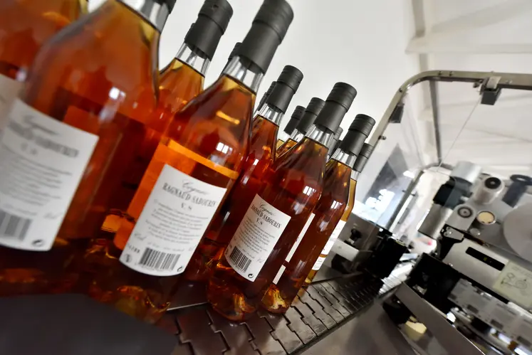 Ligne d'embouteillage dans une maison de cognac.