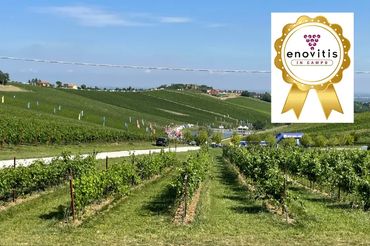 Vue du salon italien Enovitis in campo