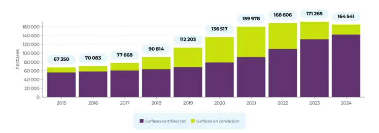 Surfaces de vignes cultivées en bio