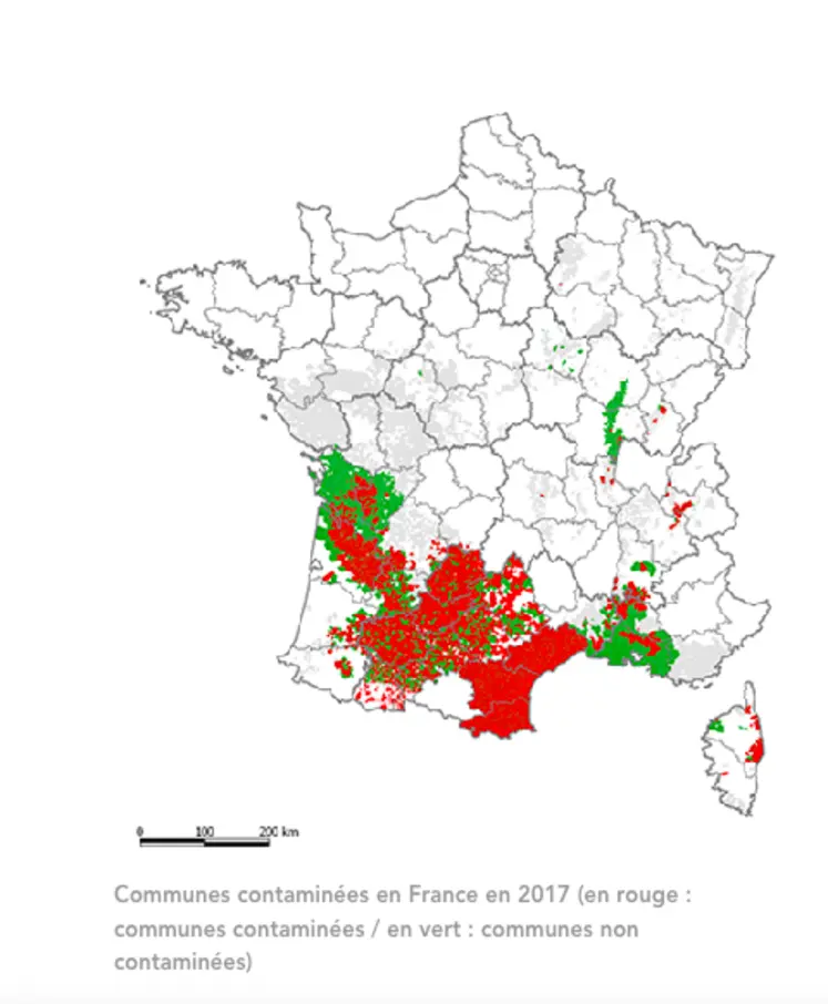 Carte des communes françaises contaminées par la flavescence dorée en 2017