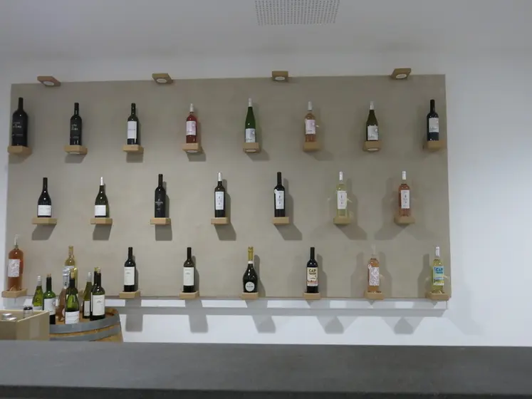 <em class="placeholder">Gamme de vins des Caves Richemer présentée dans le caveau de Marseillan.</em>