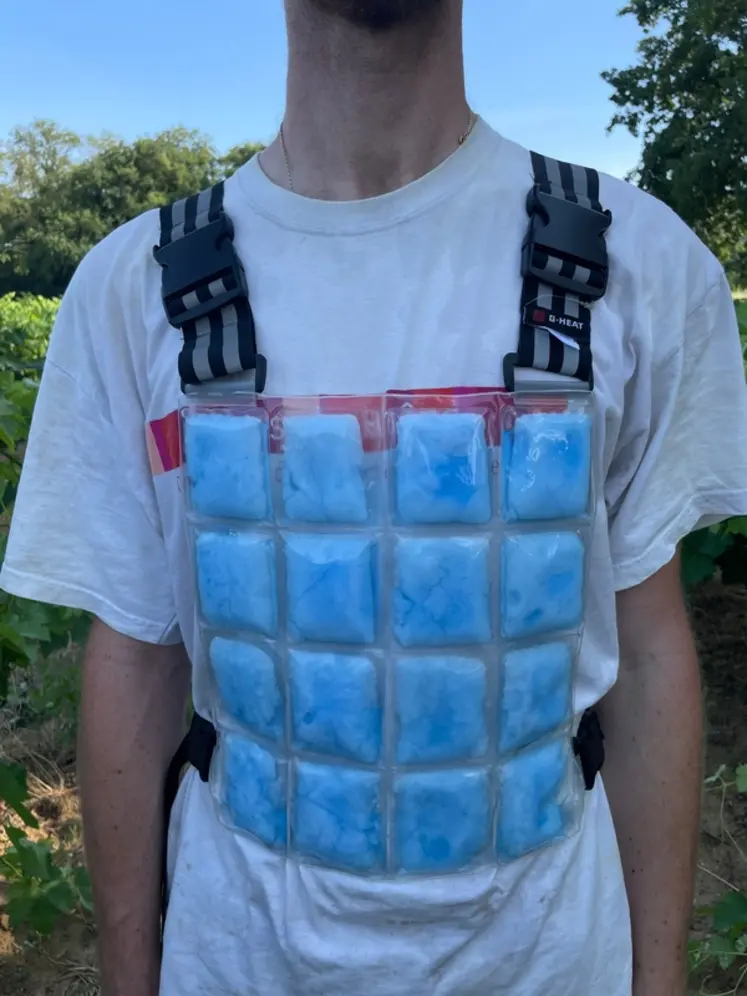 <em class="placeholder">Gilet PCM 28 G-Heat</em>
