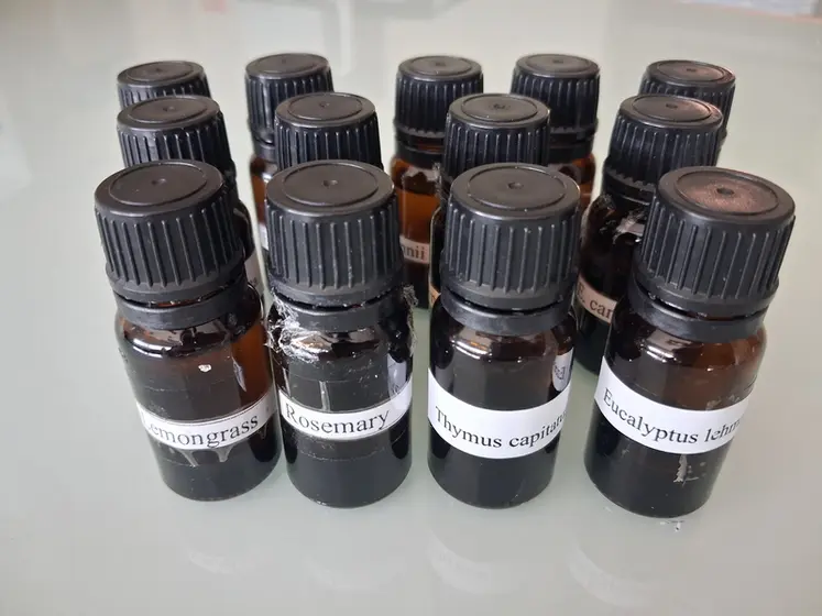 <em class="placeholder">Flacons d'huiles essentielles expérimentées par l'IFV</em>