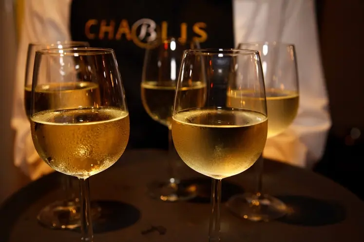 <em class="placeholder">Vigne / vins de Bourgogne blancs / dÃ©gustation de Chablis / bar Ã  vins</em>