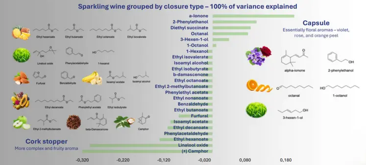 <em class="placeholder">différences entre capsules et bouchon liège au tirage sur les aromes des vins</em>