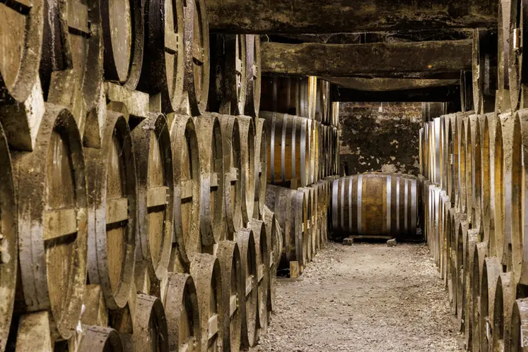 <em class="placeholder">Chais de vieillissement - Cognac Paul Giraud - Bouteville </em>