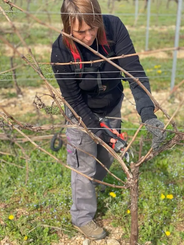 <em class="placeholder">Nathalie Lalande, salariée du Vignoble Bourgoin taillant de la vigne</em>