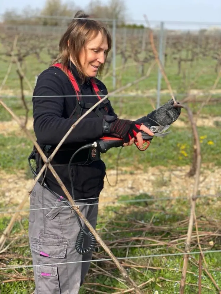 <em class="placeholder">Nathalie Lalande, salariée du Vignoble Bourgoin taillant de la vigne</em>