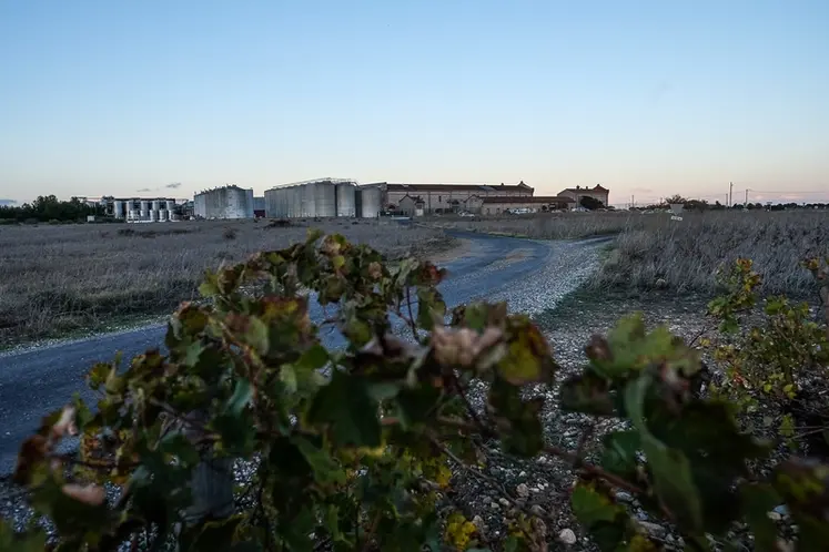 <em class="placeholder">Cave Arnaud de Villeneuve, à Rivesaltes</em>