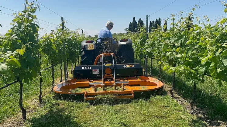 <em class="placeholder">Tondeuse Berti</em>