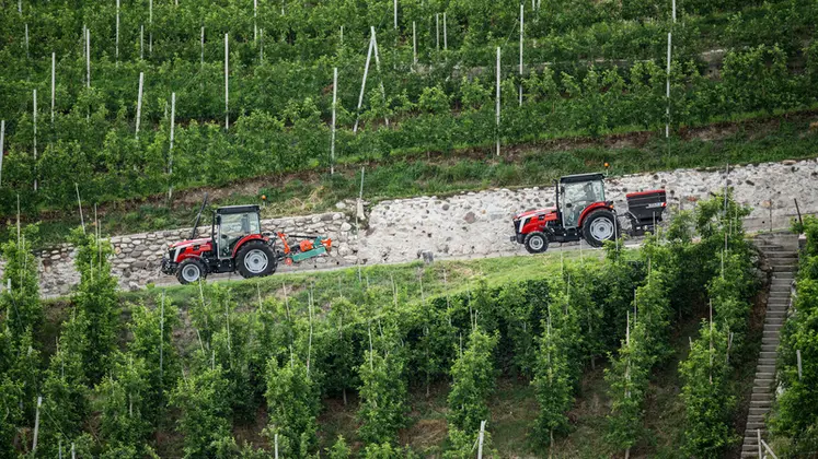 <em class="placeholder">Tracteur spécialisé Massey Ferguson MF 3 sur la route</em>