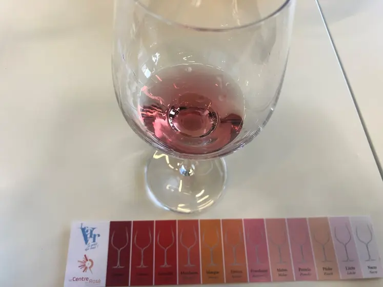 <em class="placeholder">Dégustation d'un vin rosé lors d'un atelier au salon Vinitech 2022 sur les rosés du monde</em>
