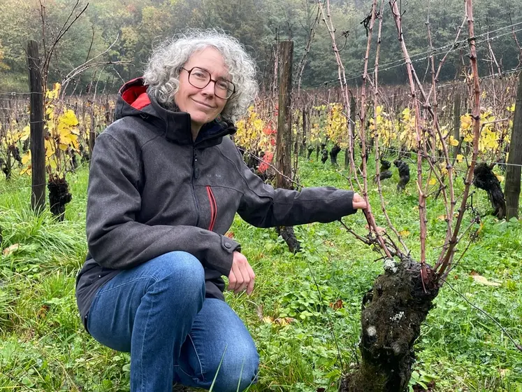 <em class="placeholder">Photo de Céline Tissot, vigneronne en Bugey, pose dans ses vignes.</em>