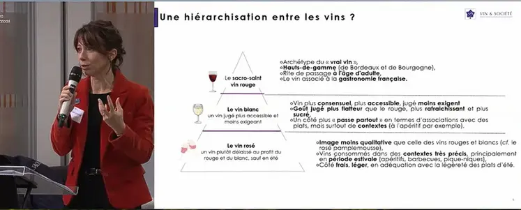 Pyramide des vins