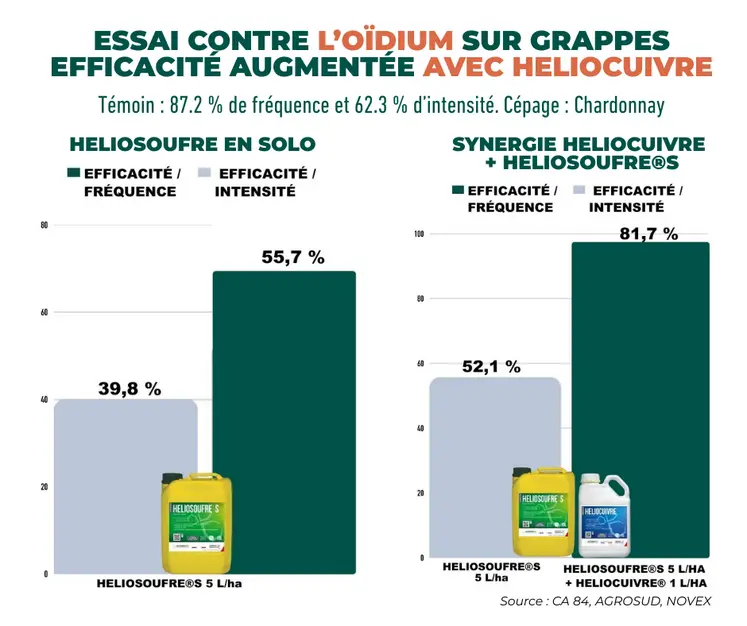 Graphiques de résultats d'essai de l'association HELIOSOUFRE avec HELIOCUIVRE sur oïdium.