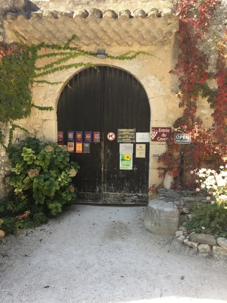 <em class="placeholder">Domaine H Bour à Grignan les Adhémar le 16 octobre 2017, drôme, côtes du rhône</em>