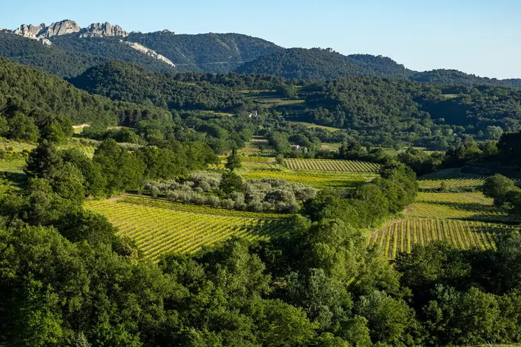 <em class="placeholder">Vignoble de Sablet</em>