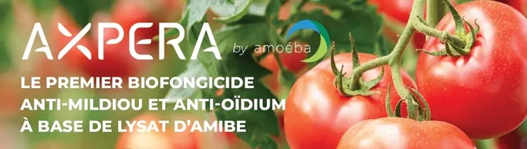 <em class="placeholder">fongicide Axpera à base de lysat d’amibe.</em>