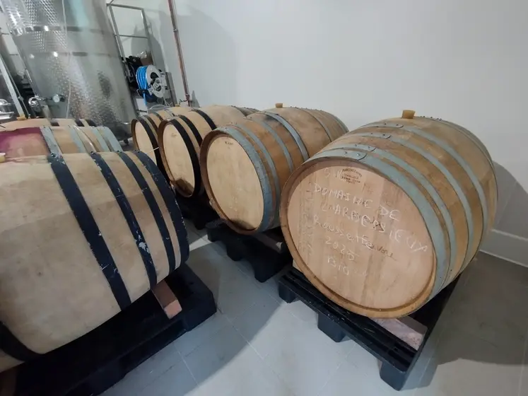 <em class="placeholder">fûts dans le chai partagé du Vigneron savoyard</em>