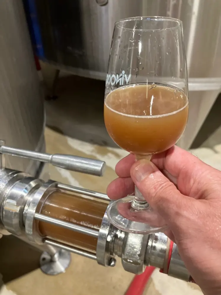 <em class="placeholder">moût de pinot noir (?) pendant préfermentation</em>