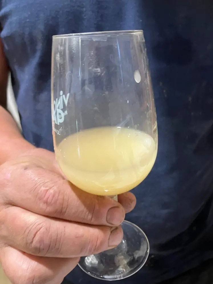 <em class="placeholder">vin pendant FA</em>