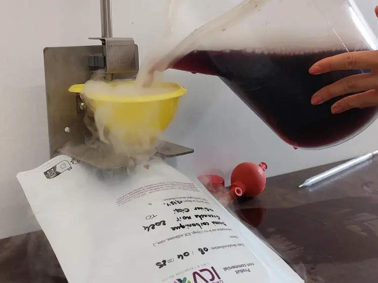 <em class="placeholder">mise en bib de vin désalcoolisé </em>