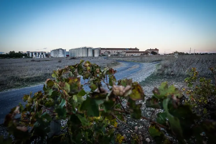 Cave Arnaud de Villeneuve dans les Pyrénées-Orientales