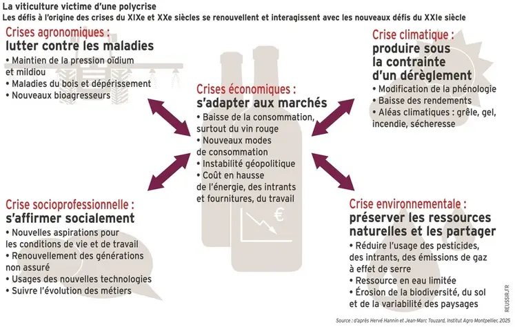 <em class="placeholder">Graphique = La viticulture victime d’une polycriseLes défis à l’origine des crises du XIXe et XXe siècles se renouvellent et interagissent avec les nouveaux défis du ...</em>