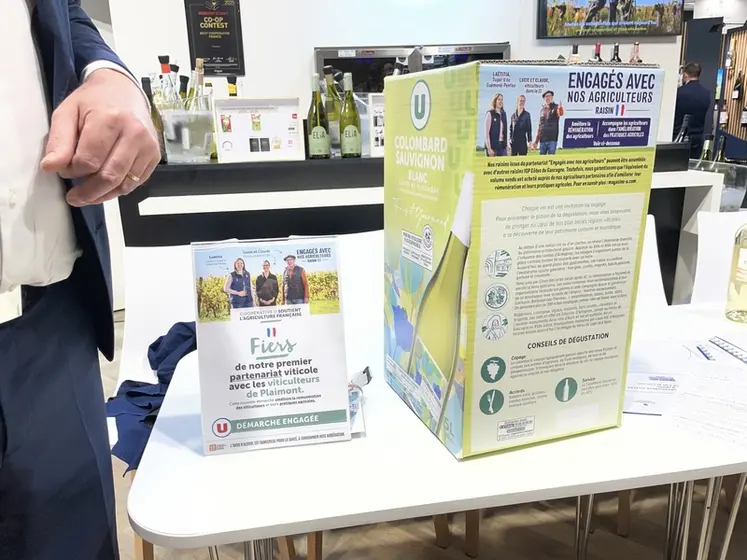 <em class="placeholder">Bib de côtes de gascogne.</em>