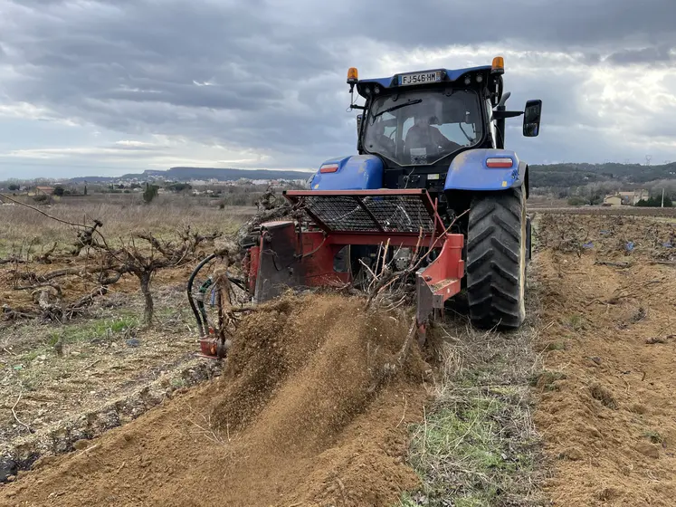 Arrachage de vigne