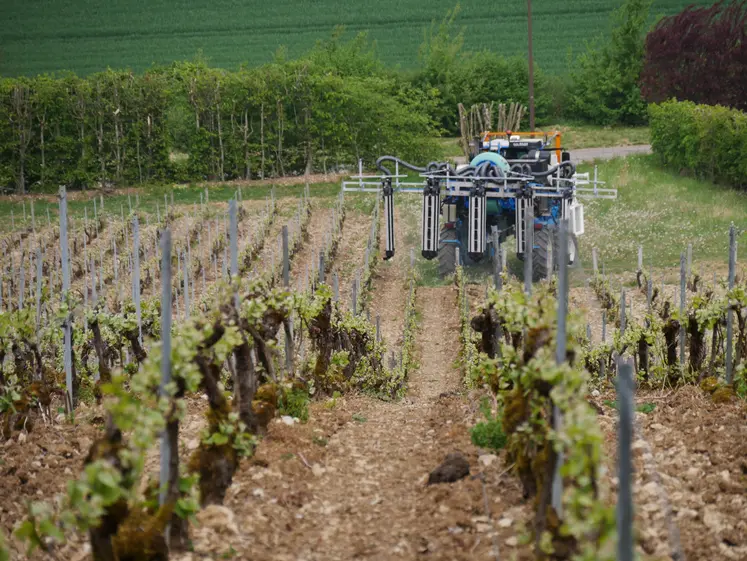 Traitement de la vigne