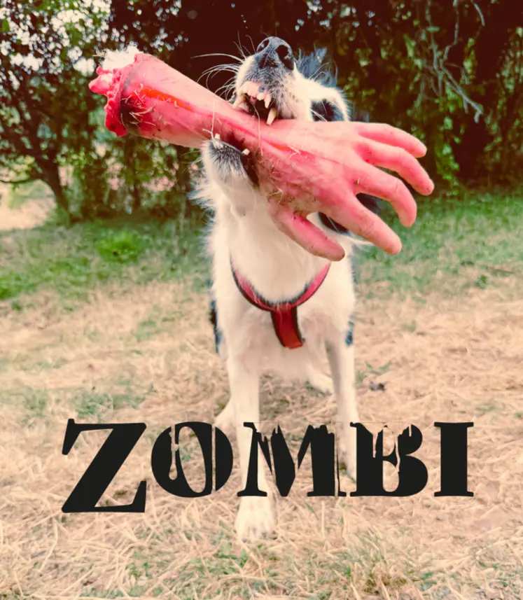 <em class="placeholder">Extrait du court métrage Zombi de David Large</em>