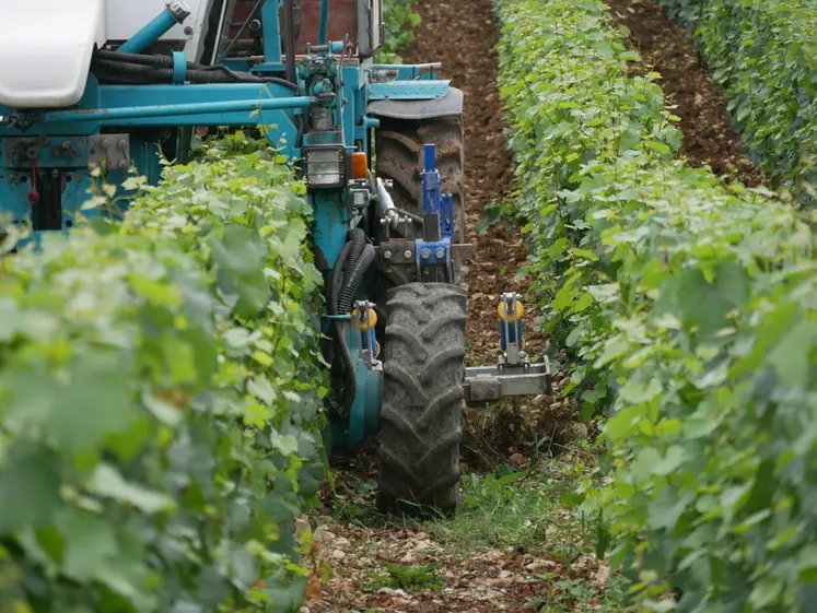 <em class="placeholder">Tracteur enjambeur réalisant du travail du sol en vignes étroites, à l'aide d'une charrue vigneronne.</em>