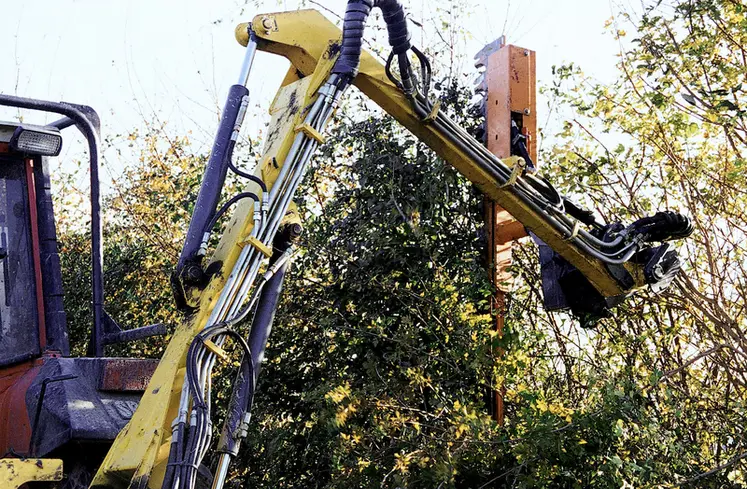 <em class="placeholder">Equipement / environnement / entretien des haies / élagage / sécateur</em>