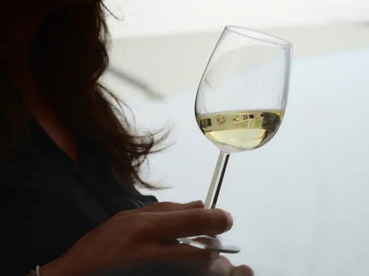 <em class="placeholder">dégustation verre de vin blanc</em>