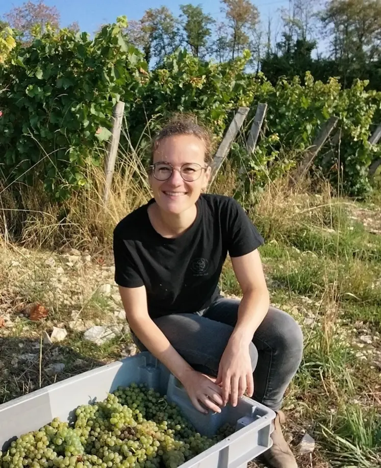 <em class="placeholder">Domitille Brosseau, cheffe de projet œnologie au Comité des vins de Bourgogne</em>
