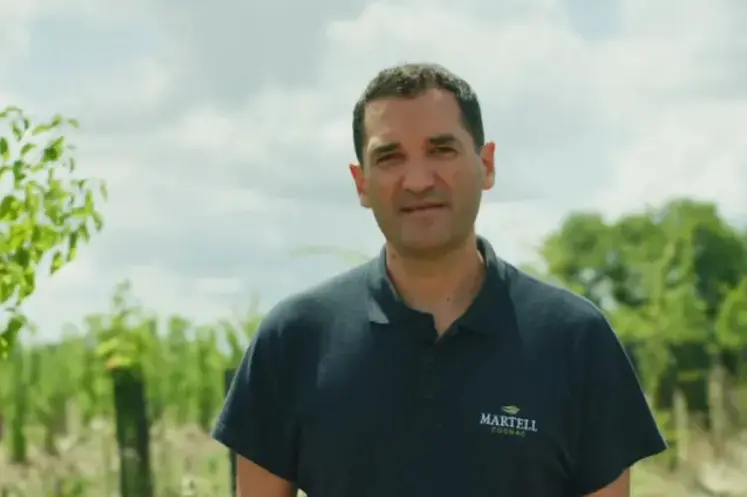 Julien Chadutaud devant les vignes des domaines Jean Martell