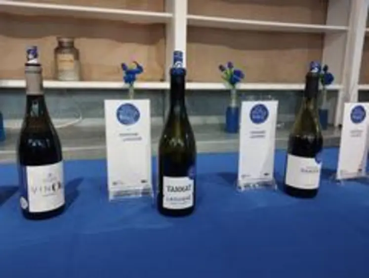 3 bouteilles de madiran labellisées bleu tannat