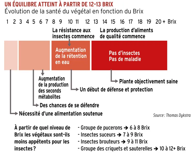<em class="placeholder">Graphique = Un équilibre atteint à partir de 12-13 BrixÉvolution de la santé du végétal en fonction du Brix</em>