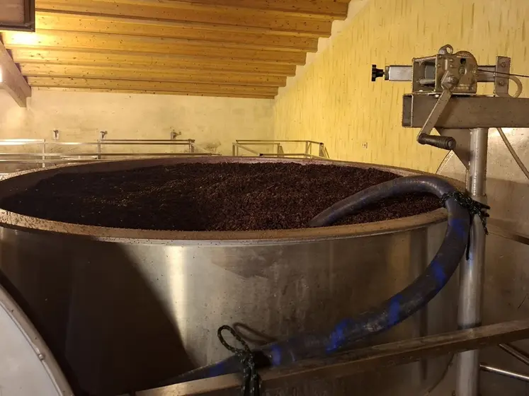 <em class="placeholder">cuve ouverte de moût rouge en fermentation avec chapeau de marc</em>