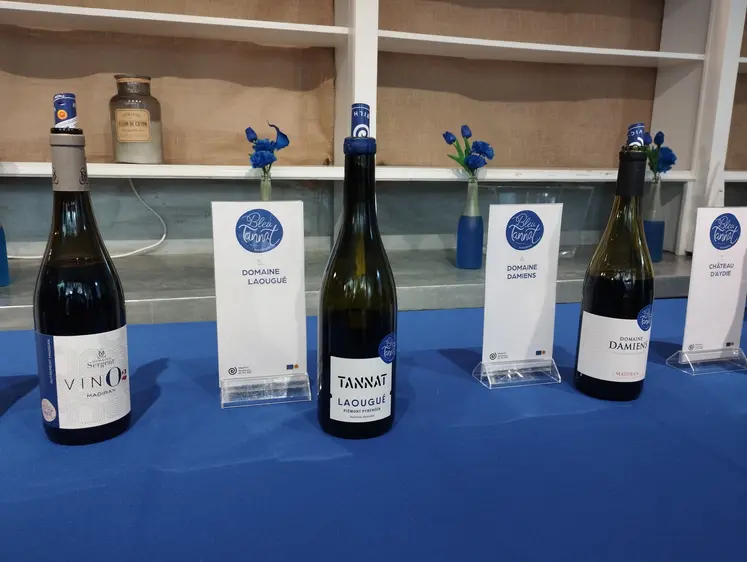 Lancement des cuvées de Madiran Bleu Tannat à Paris.